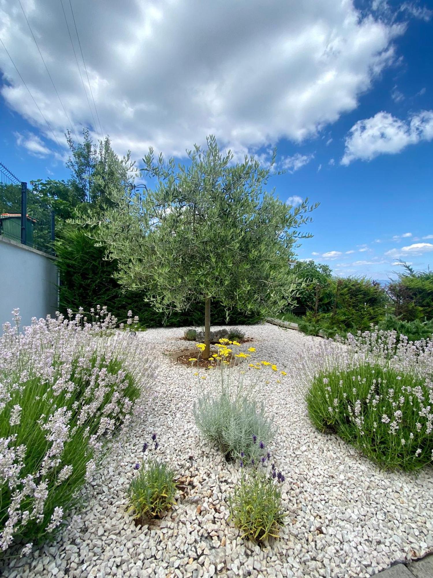 Villa Marta Opatija Extérieur photo